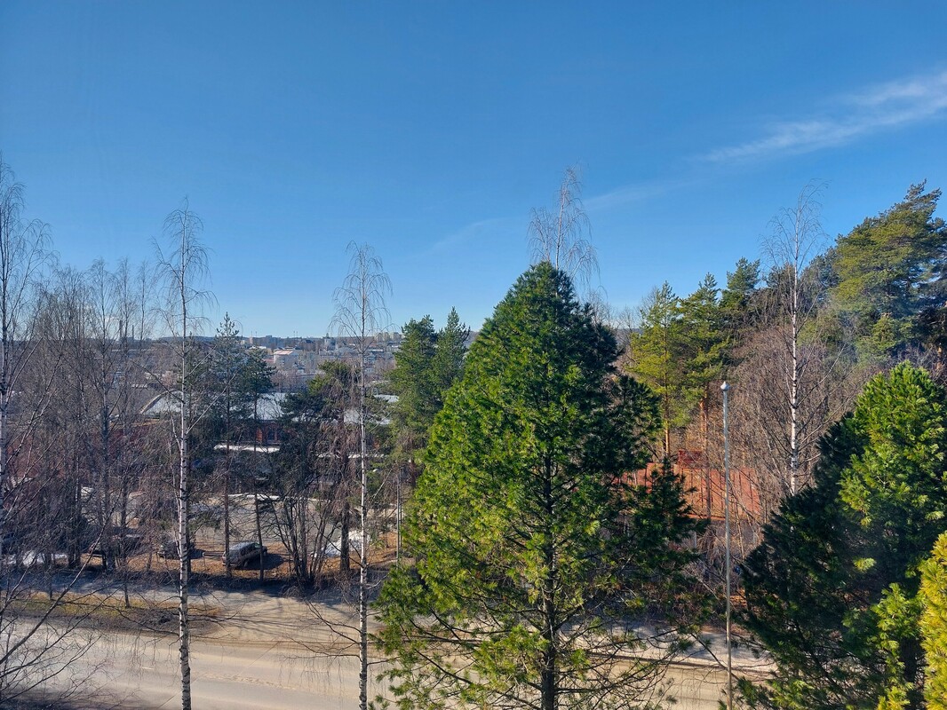 Näkymä ruokailutilan ikkunasta