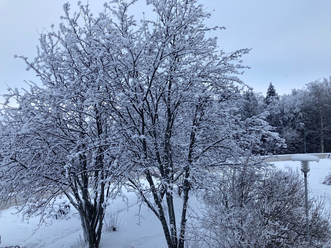 näkymä parvekkeelta