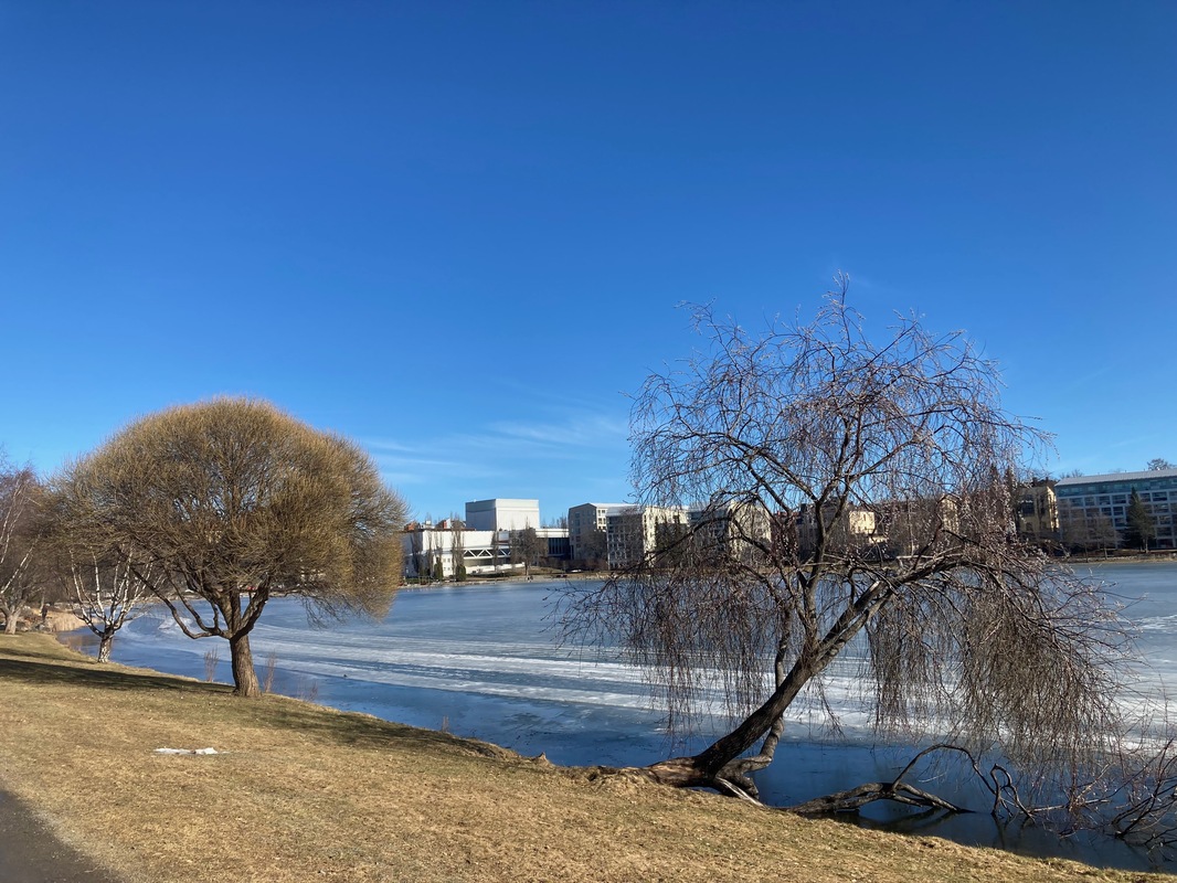 Valkeisenlammen puisto