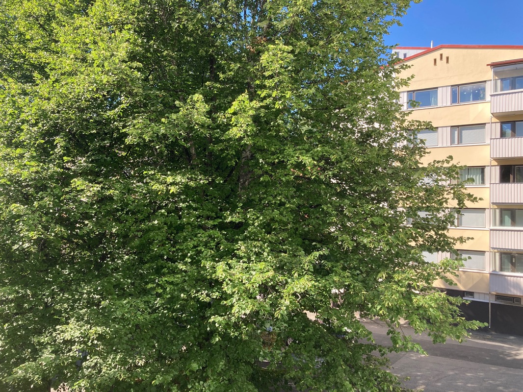 näkymä parvekkeelta