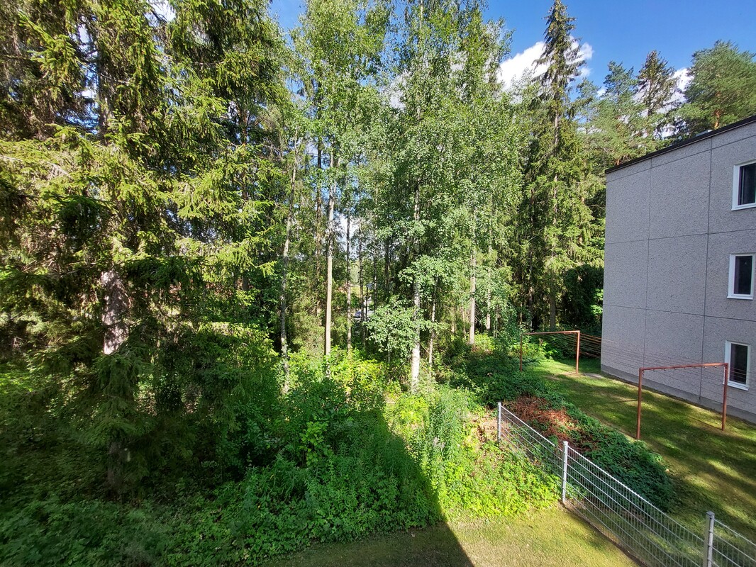 Näkymä ikkunasta
