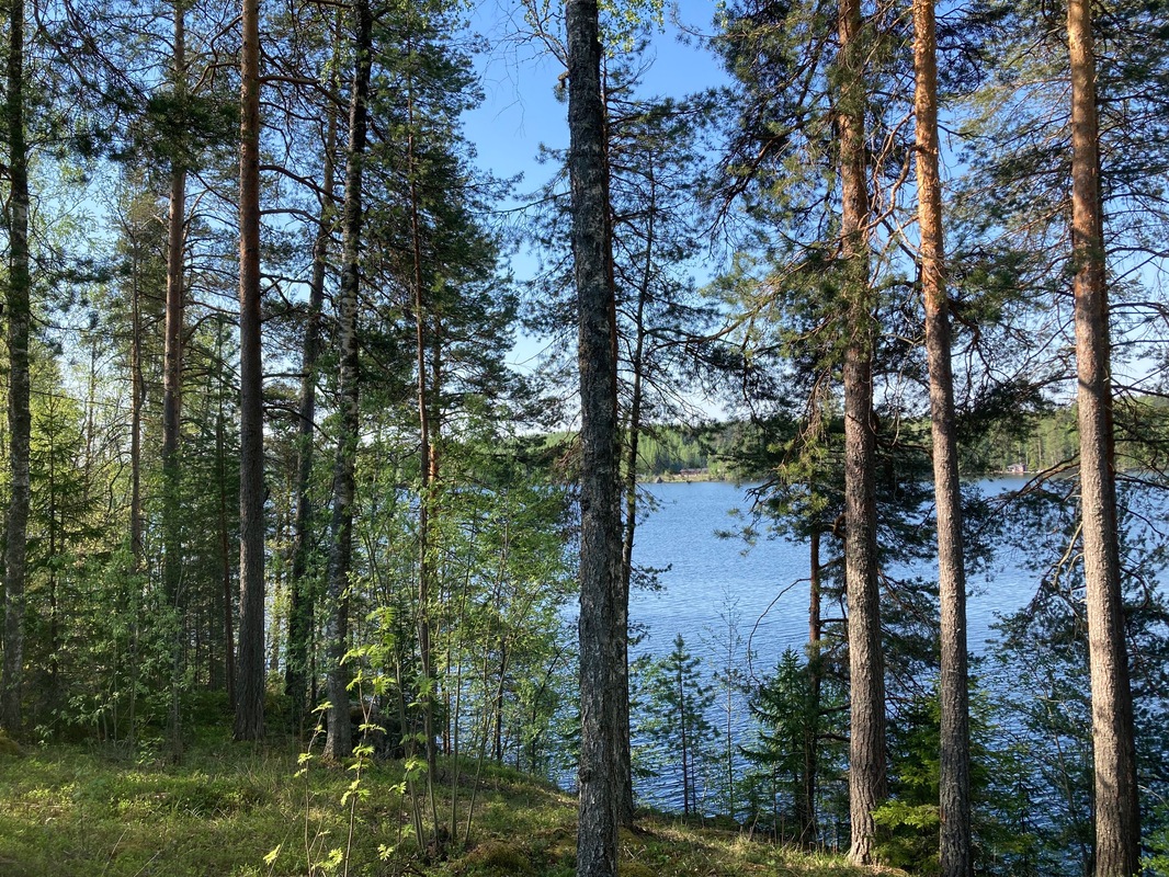 näkymä kuistilta