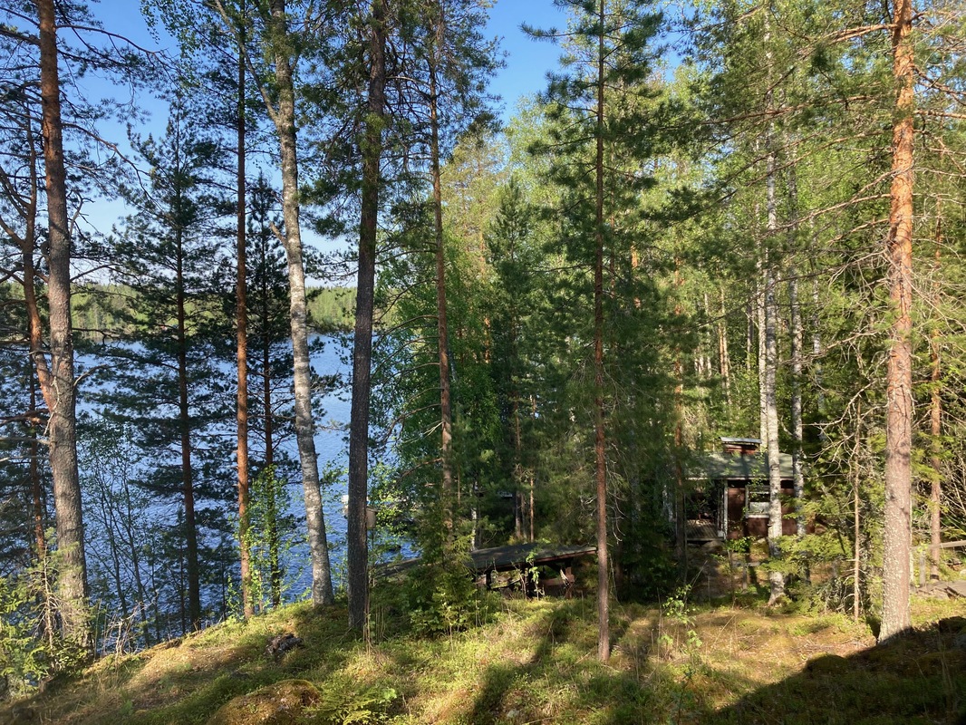 näkymä kuistilta