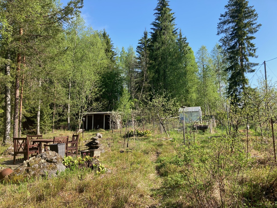 kasvimaa