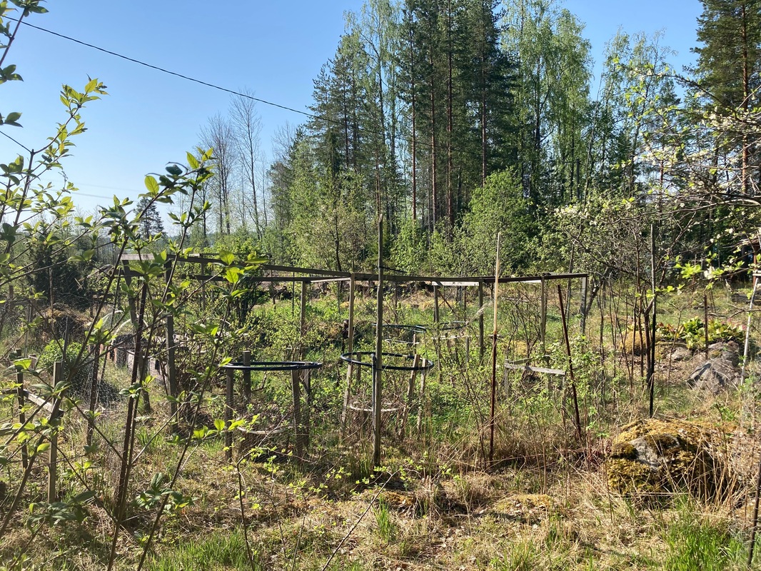 kasvimaa