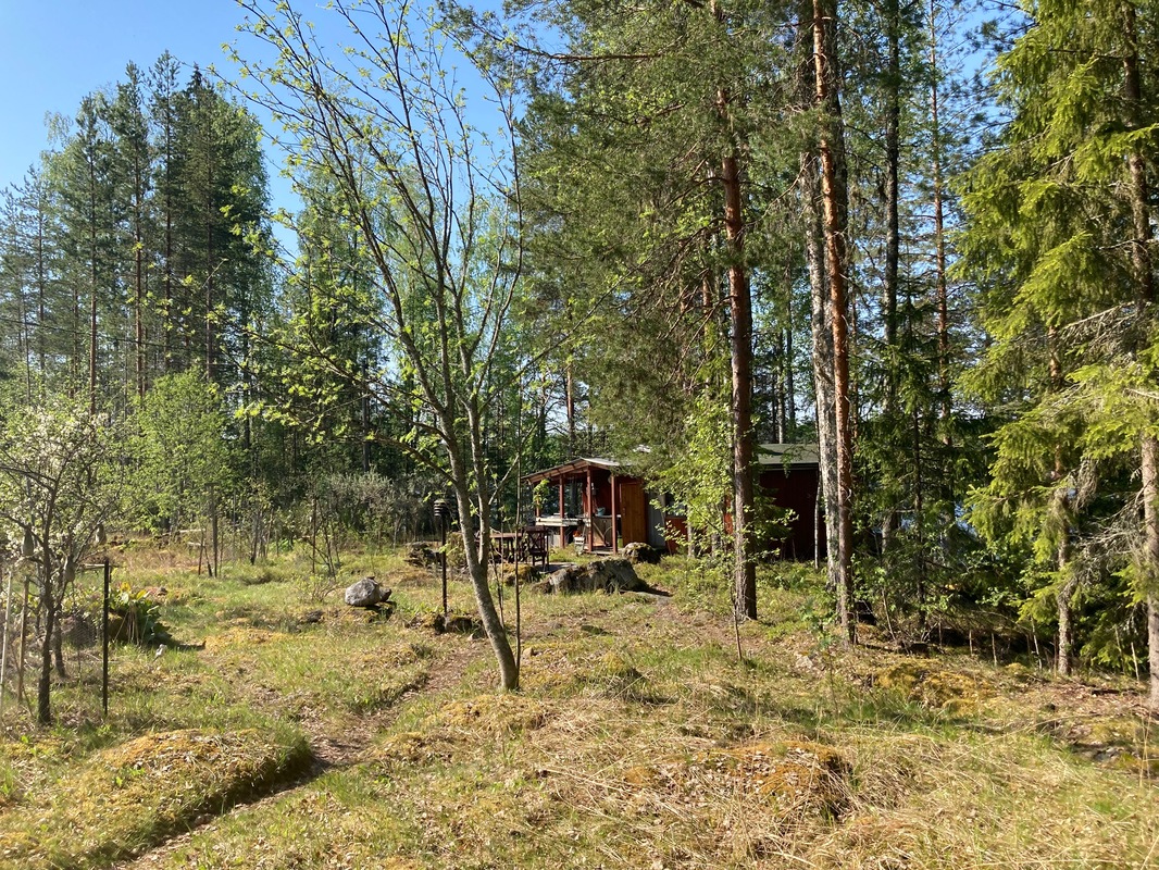 kasvimaa