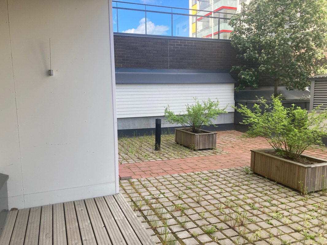 terassi