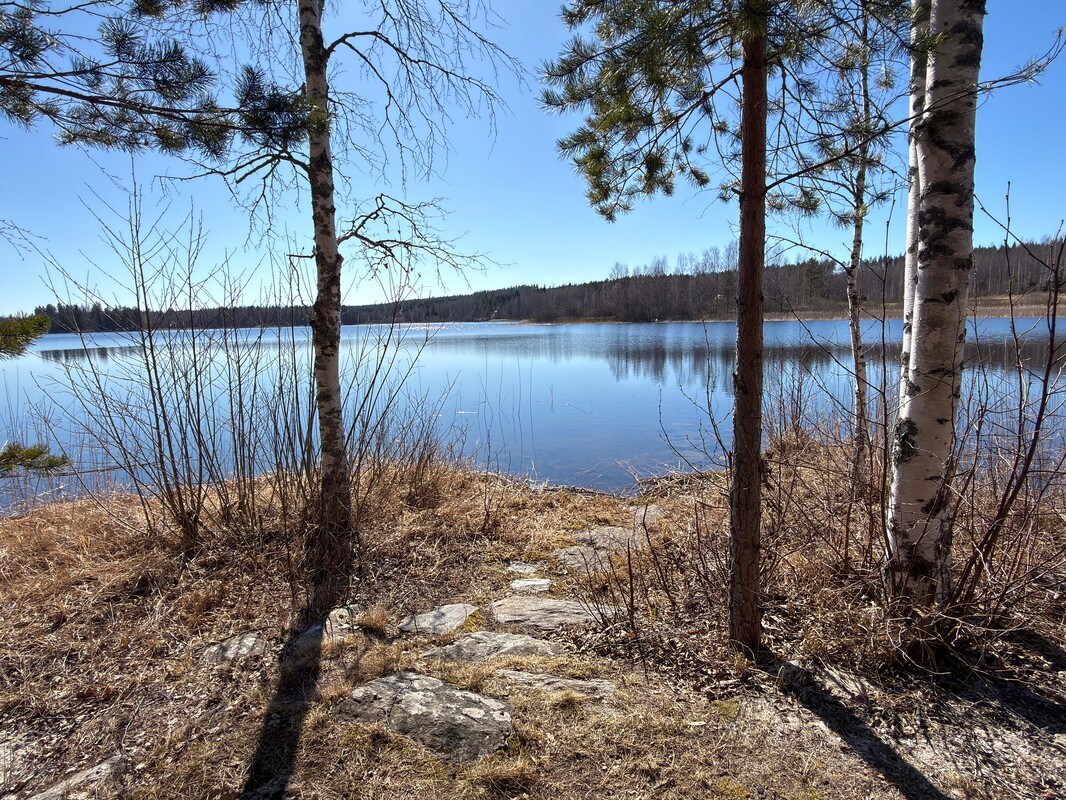 Ranta