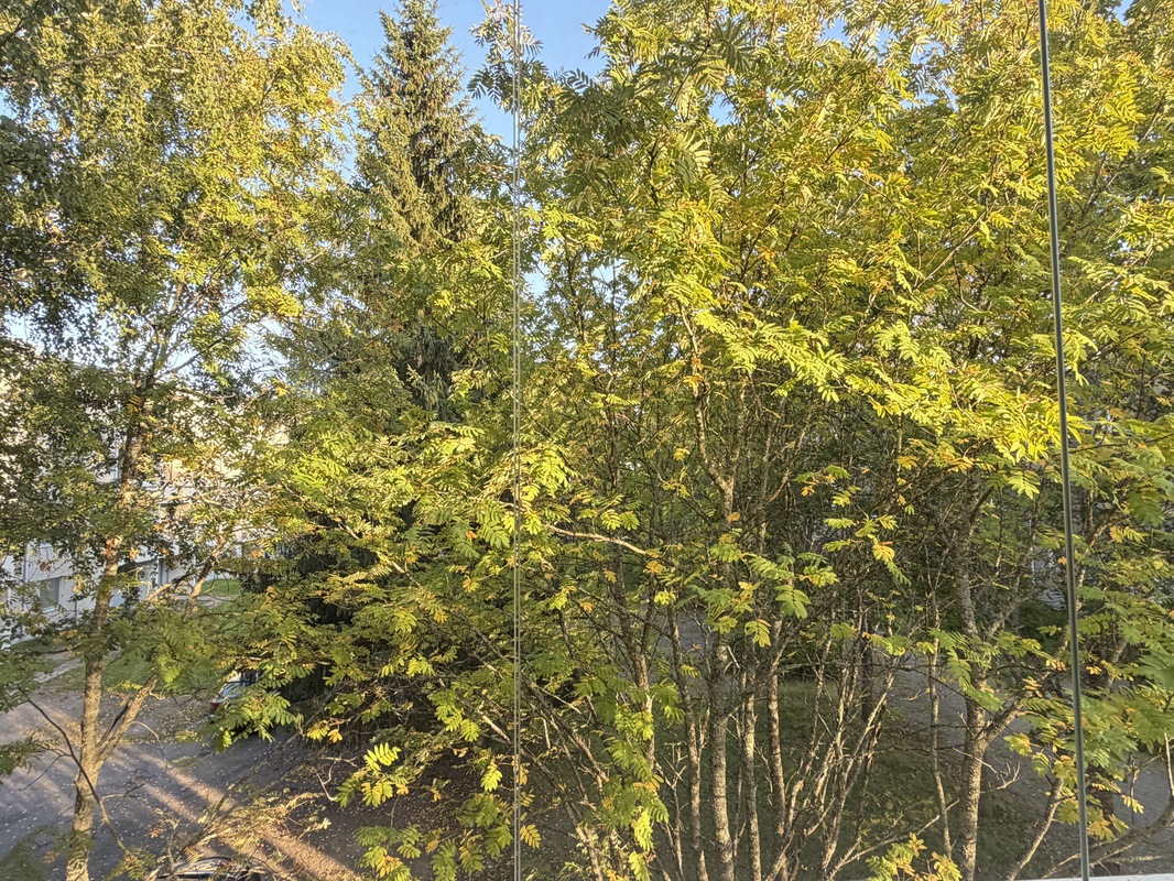 Näkymä parvekkeelta
