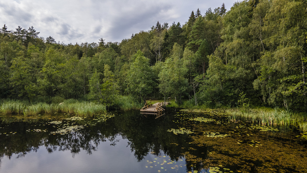 Hannusjärvi