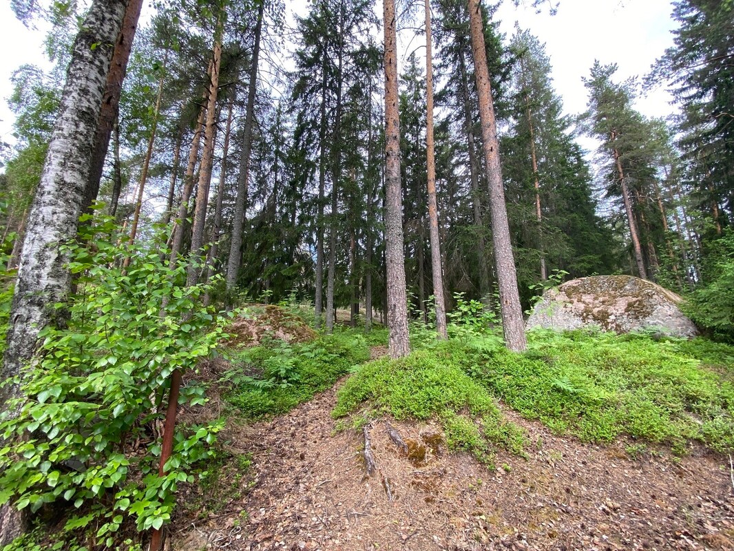 Omalta takapihalta lähtee polku Äijönvuoren puistoalueelle, kuntoradalle ja Tampsan uimarannalle