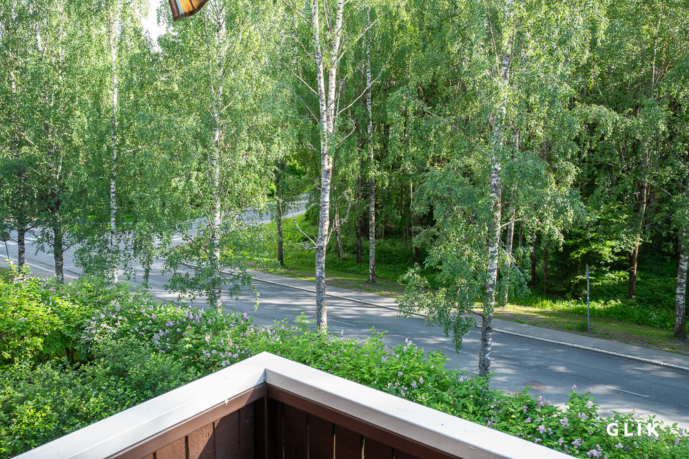Nikinväylä 1, 33580 Tampere, Atala