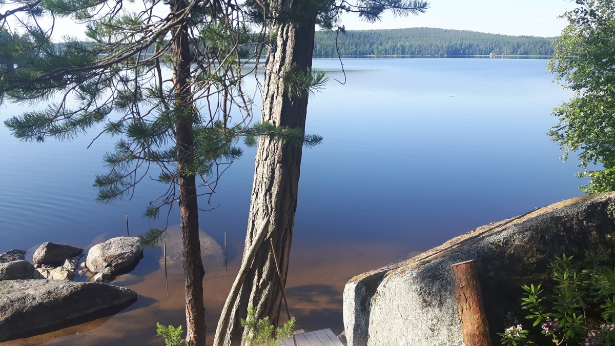 Saaniementie 139, 41820 Jämsä, Hahkala