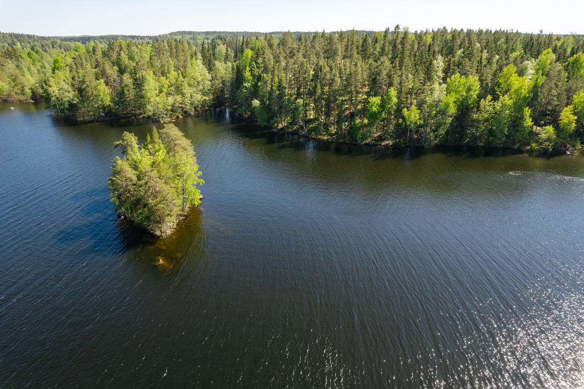 Jylhäniemi tontti no.4 , 36760 Pälkäne, Luopioinen