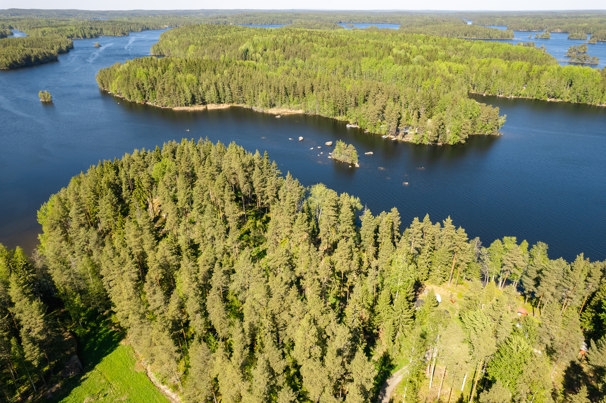 Jylhäniemi tontti no.6 , 36760 Pälkäne, Luopioinen