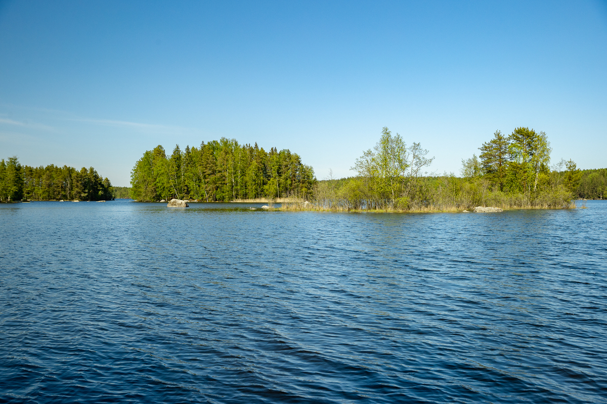 Jylhäniemi tontti no.6 , 36760 Pälkäne, Luopioinen