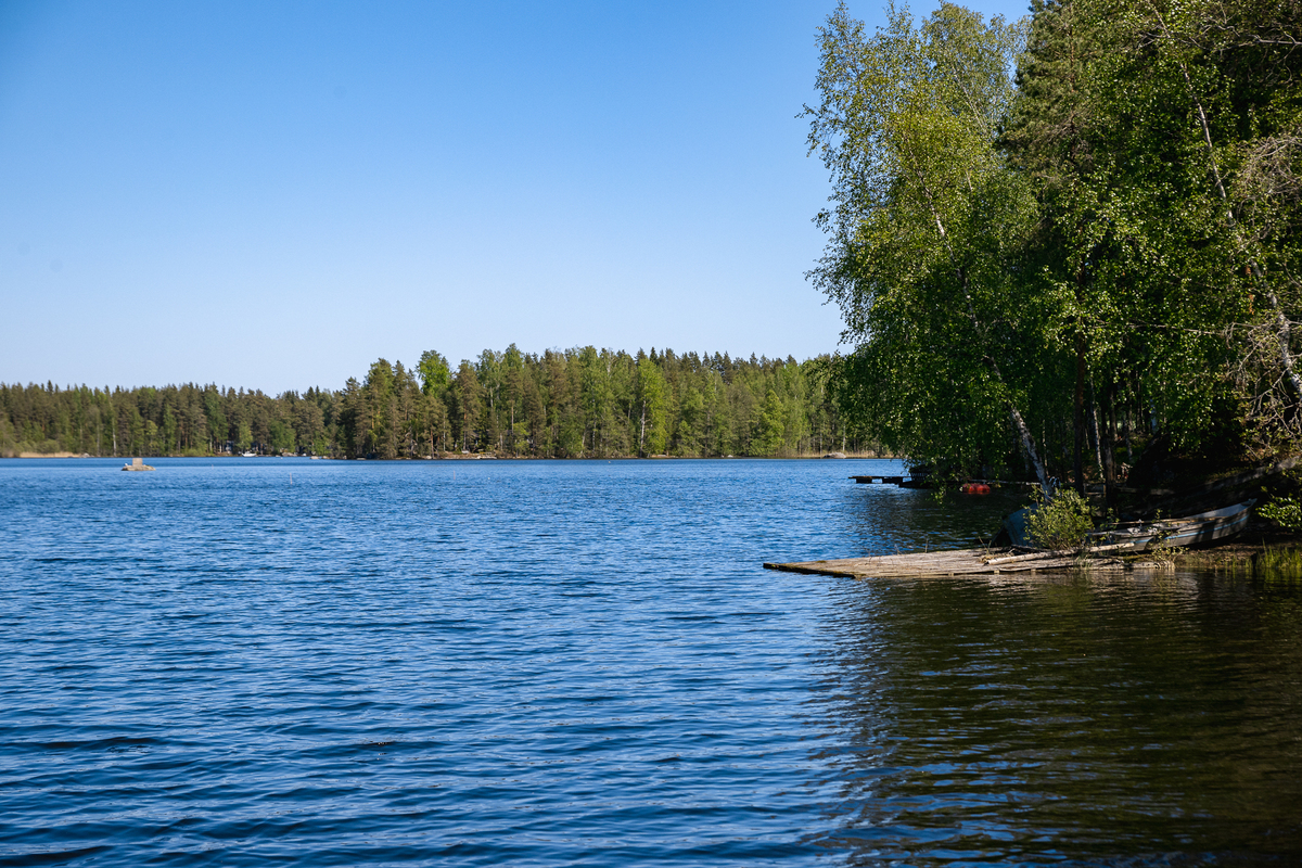 Jylhäniemi tontti no.6 , 36760 Pälkäne, Luopioinen
