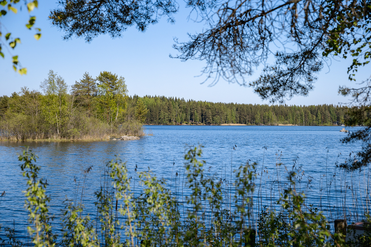 Jylhäniemi tontti no.6 , 36760 Pälkäne, Luopioinen
