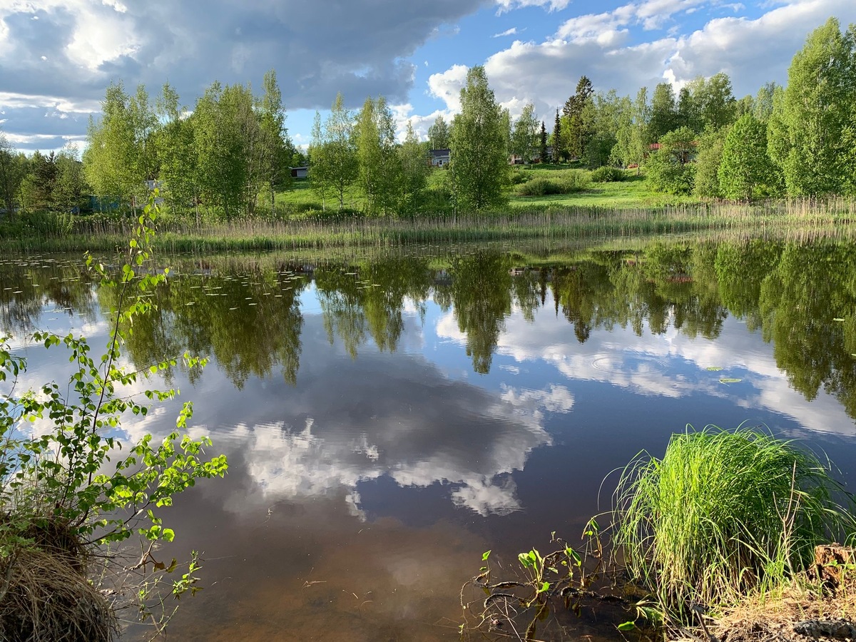Mujeenpolku 4, 35400 Jämsä, Länkipohja