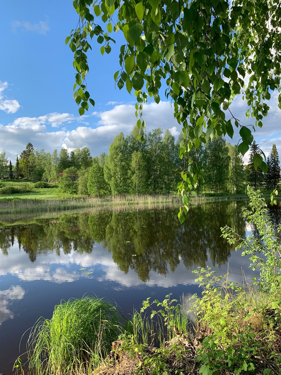Mujeenpolku 4, 35400 Jämsä, Länkipohja