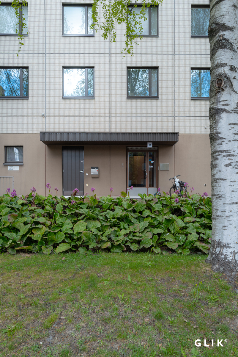 Papinkatu 11, 33200 Tampere, Pyynikki