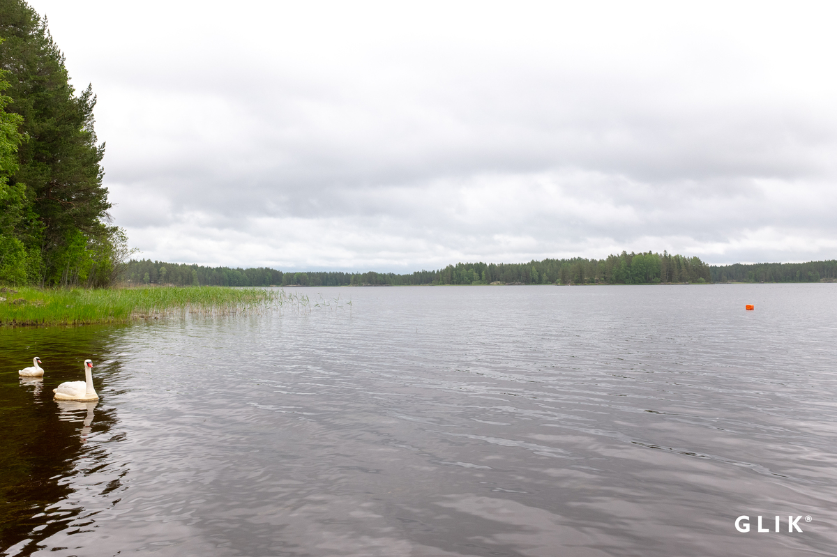 Telastontie 126, 34710 Virrat, Vaskivesi