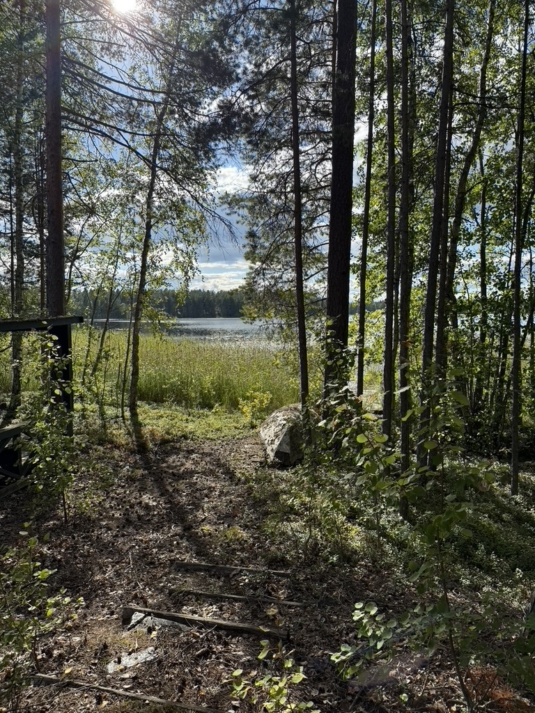 Kiukkaanniemi 63, 34260 Tampere, Kapee