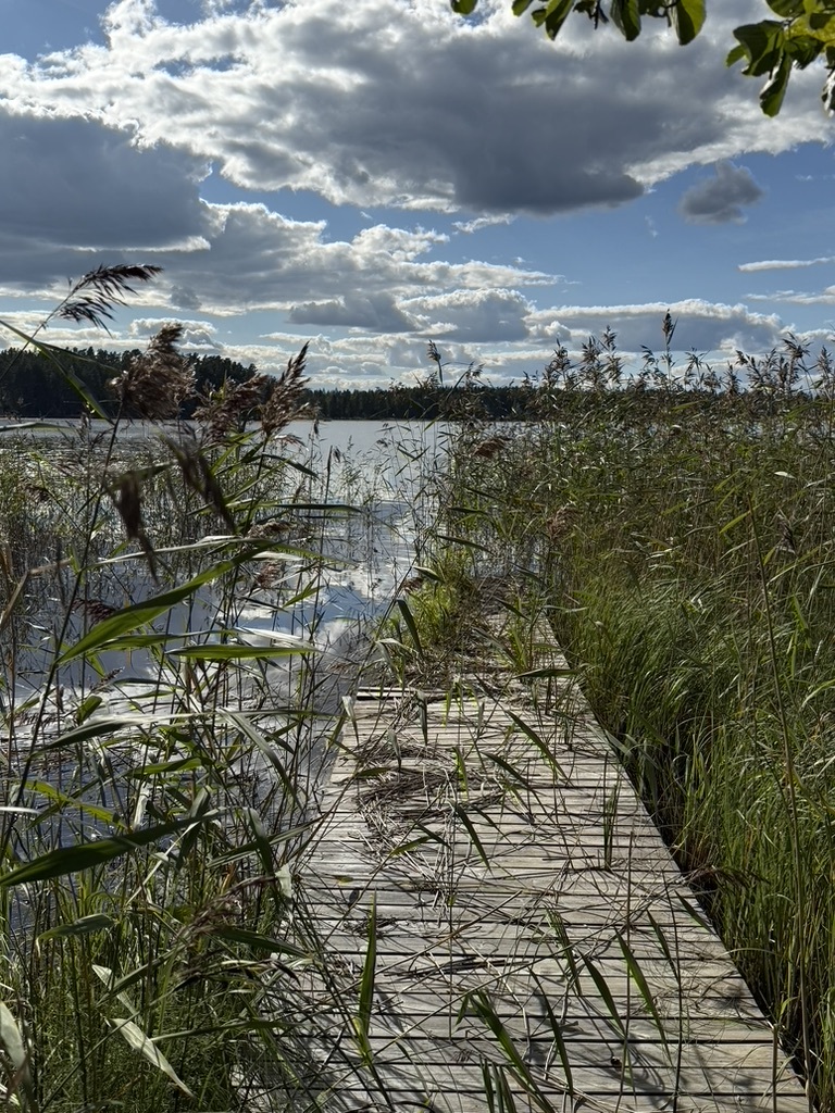 Kiukkaanniemi 63, 34260 Tampere, Kapee