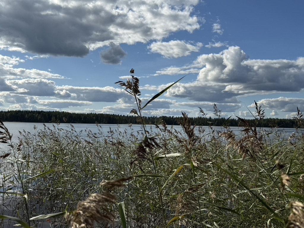 Kiukkaanniemi 63, 34260 Tampere, Kapee
