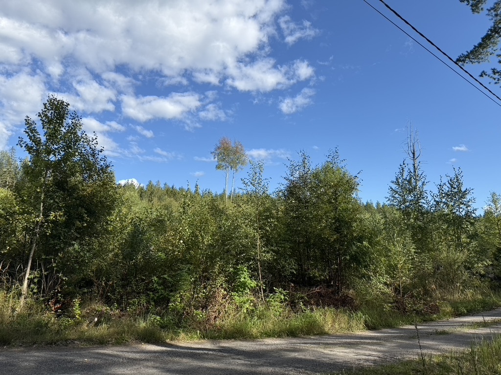 Kiukkaanniemi 63, 34260 Tampere, Kapee