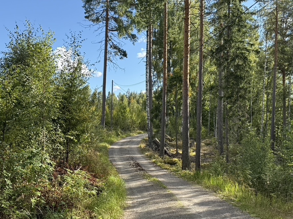 Kiukkaanniemi 63, 34260 Tampere, Kapee