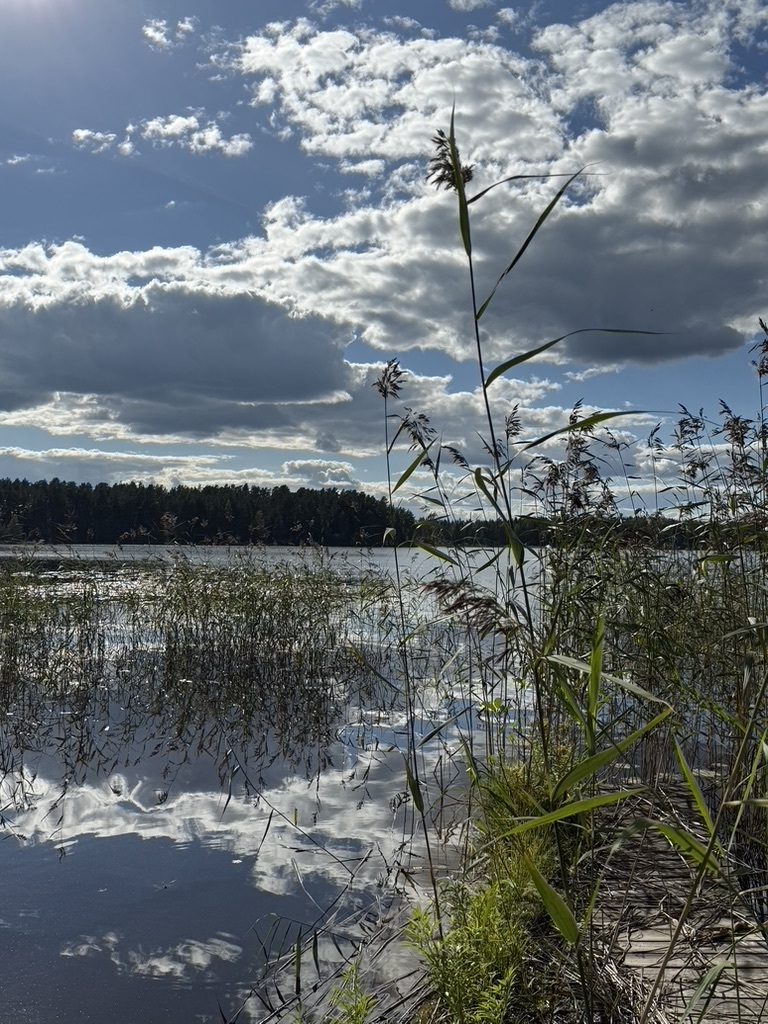 Kiukkaanniemi 63, 34260 Tampere, Kapee