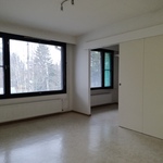 Olohuone, ikkunat sisäpihan puoleen