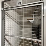 Huoneiston irtainvarasto n. 2 m2