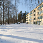 iso piha-alue joka rajautuu siirtolapuutarhaan