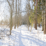 upeat ulkoilureitit heti pihasta