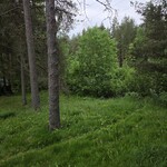 Saunan terassilta näkymä