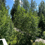 Näkymä parvekkeelta