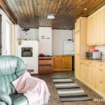 Puuhella sekä leivinuuni. Käynti takapihalle