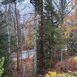 Näkymät keittiön ikkunasta