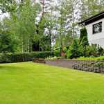 Omistajan ottamia kesäkuvia