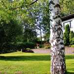 Omistajan ottamia kesäkuvia