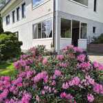 Omistajan ottamia kesäkuvia