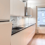 Keittiössä kivitasot ja integroitu astianpesukone