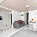 Alakerran oleskelutila