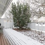 Pihalla on ympärivuoden vihreänä pysyvä puu, joka tuo näkösuojaa.