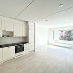 Olohuone ja avokeittiö