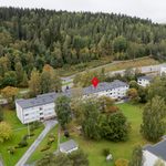 Näkymää taloyhtiön puistomaiselle etupihalle
