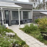 Takapihan kukkaloistoa