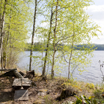 Rannassa nuotiopaikka